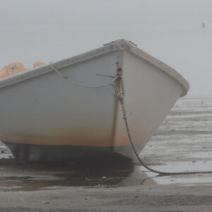 Private Camera and Photography Instruction — Shutterbug Training