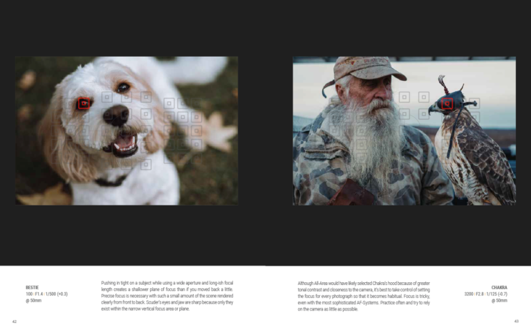 Beginner Photography ONE—Autofocus Points
