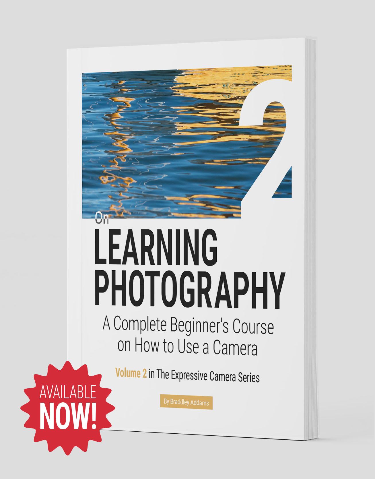 Buy On LEARNING PHOTOGRAPHY on Amazon