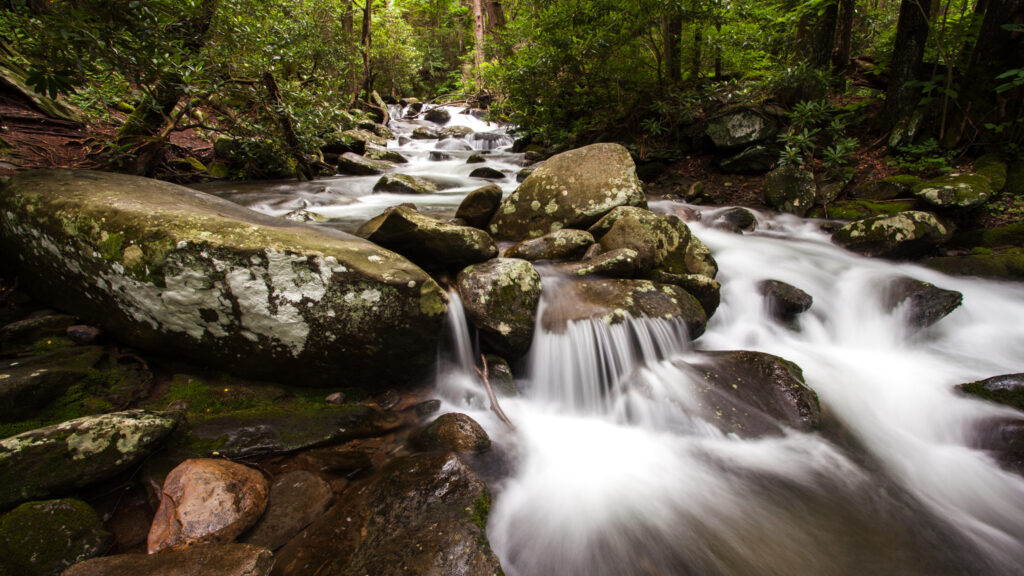 Free Photography Resources for the Beginning Photographer - Shutterbug ...