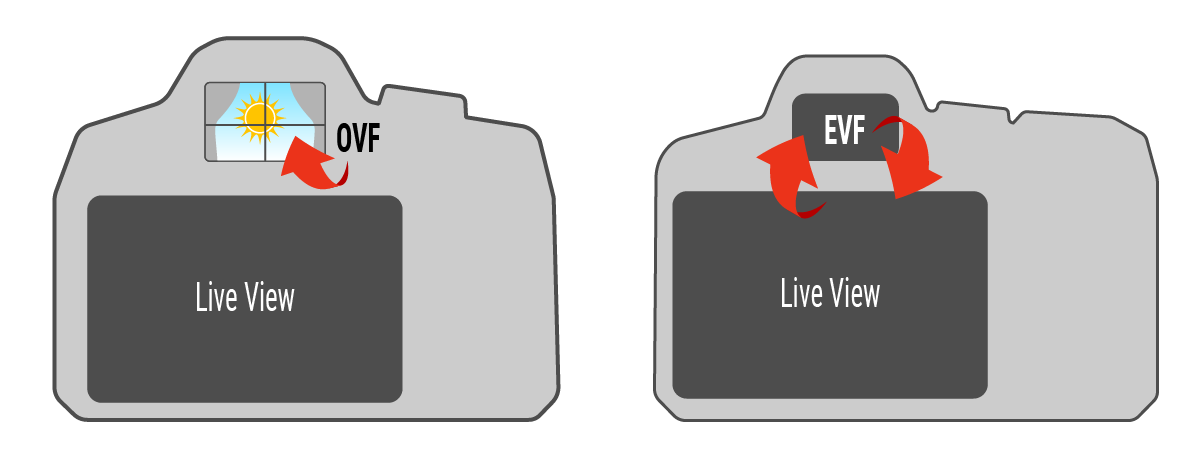DSLR And Mirrorless Camera Comparison Shutterbug Training is-valorant-more-cpu-or-gpu-intensive-playbite