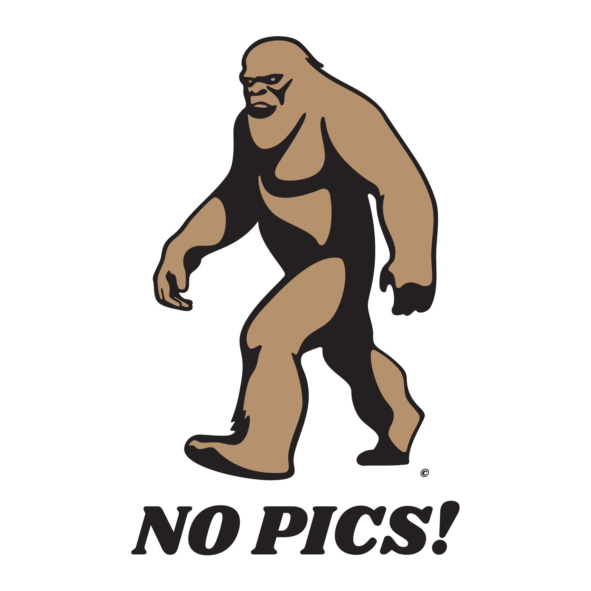 Funny NO PICS! Bigfoot Sasquatch Design Detail