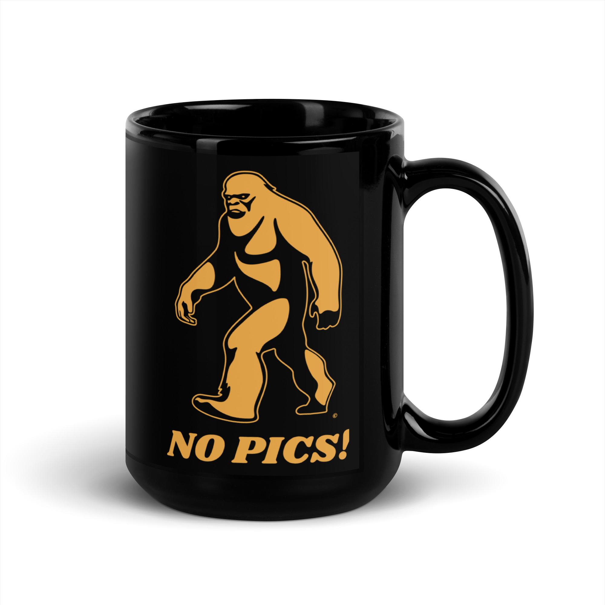 NO PICS MUG