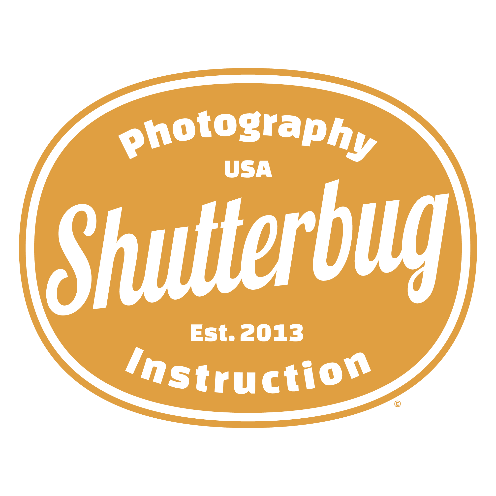 Shutterbug Retro Logo Badge Design Detail