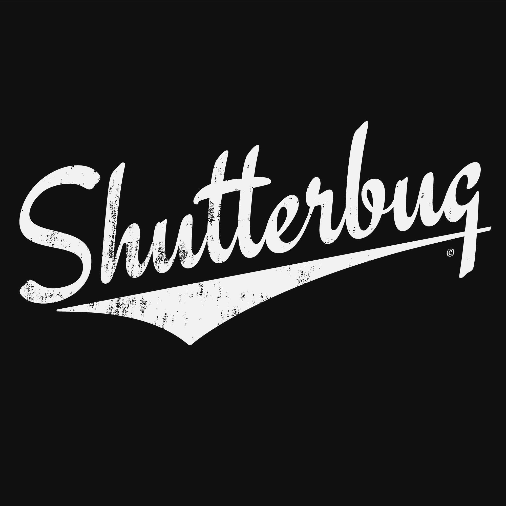 Shutterbug Script Work Logo Graphic Design Detail